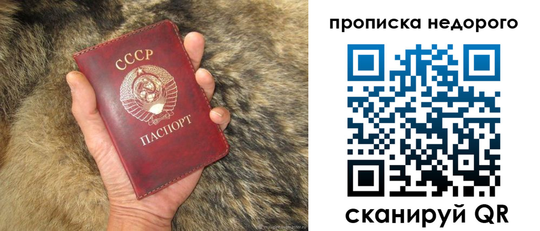 прописка для школы в Гулькевичах